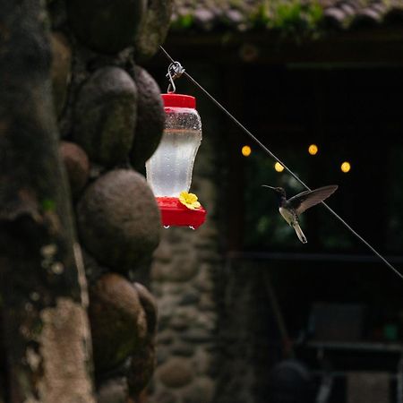 Pura Vista Glamping Hotel El Castillo Kültér fotó
