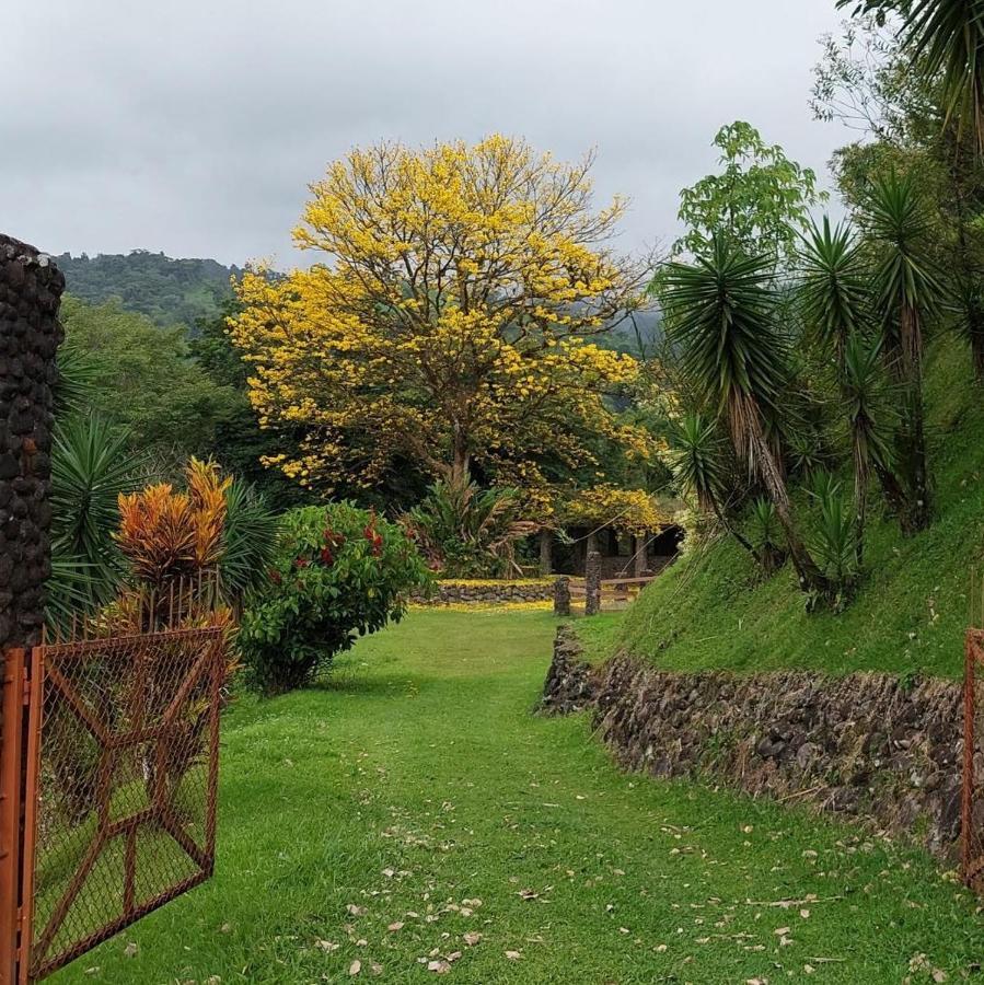 Pura Vista Glamping Hotel El Castillo Kültér fotó