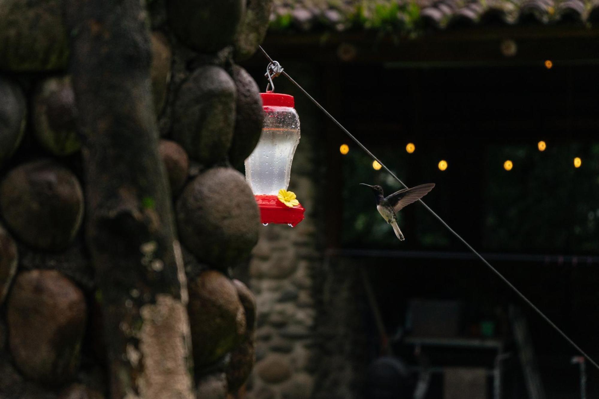 Pura Vista Glamping Hotel El Castillo Kültér fotó