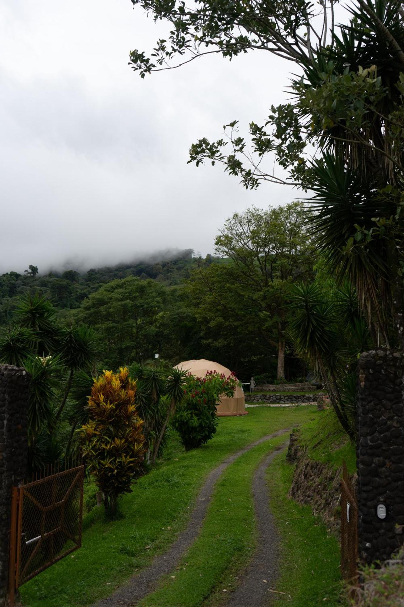 Pura Vista Glamping Hotel El Castillo Kültér fotó