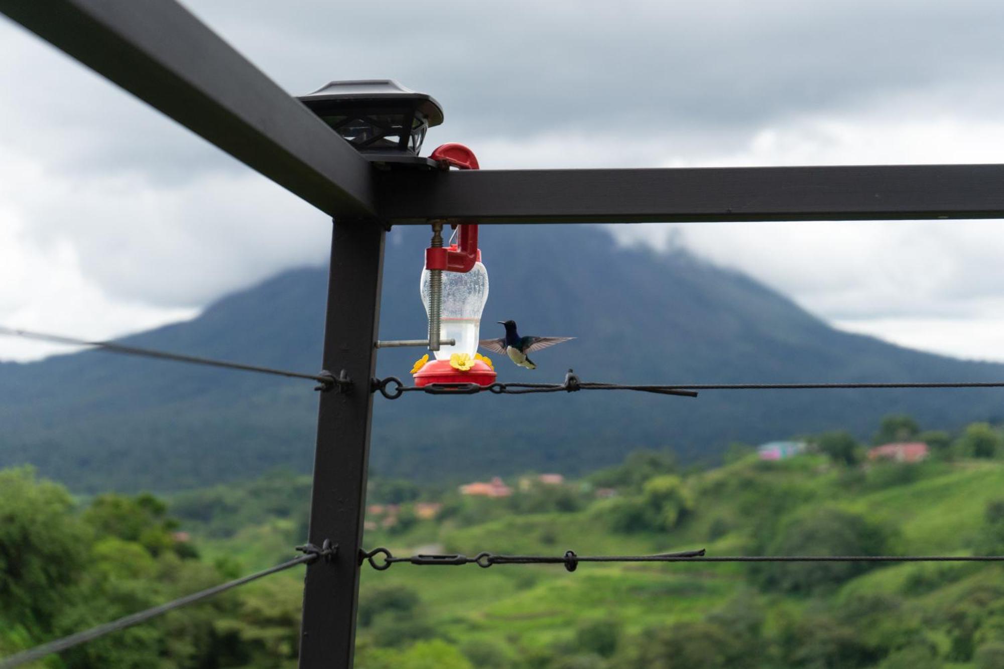 Pura Vista Glamping Hotel El Castillo Kültér fotó